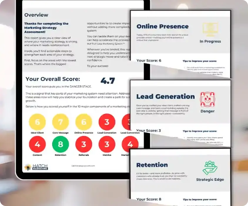 Marketing Strategy Assessment(image1)